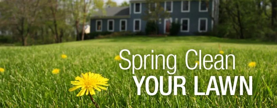 Professional lawn care service for residential properties in McDonough, GA by HANDS-ON Lawn Care