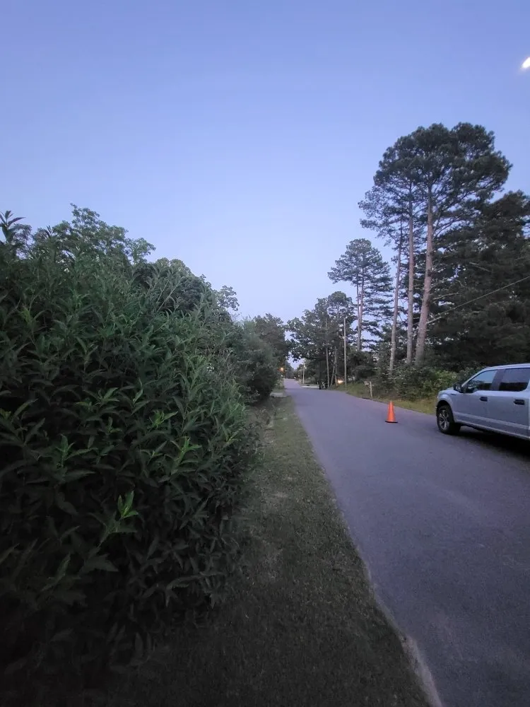 Professional yard maintenance for year-round maintenance across Hot Springs, AR - Hands On Lawn Care Service