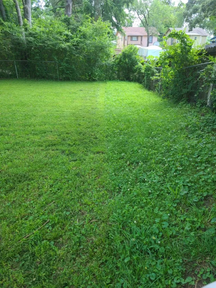 Professional landscape design in Hot Springs, AR by Hands On Lawn Care Service