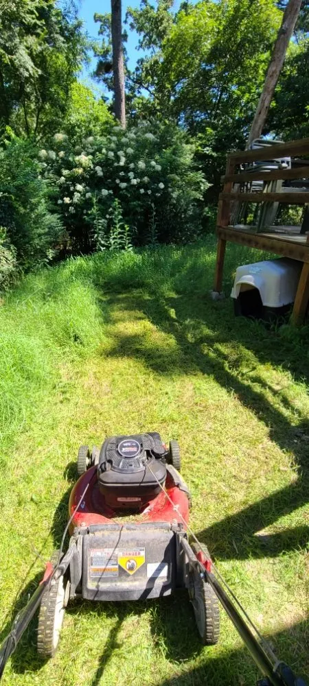 Reliable yard cleanup service experts serving Hot Springs, AR - Hands On Lawn Care Service