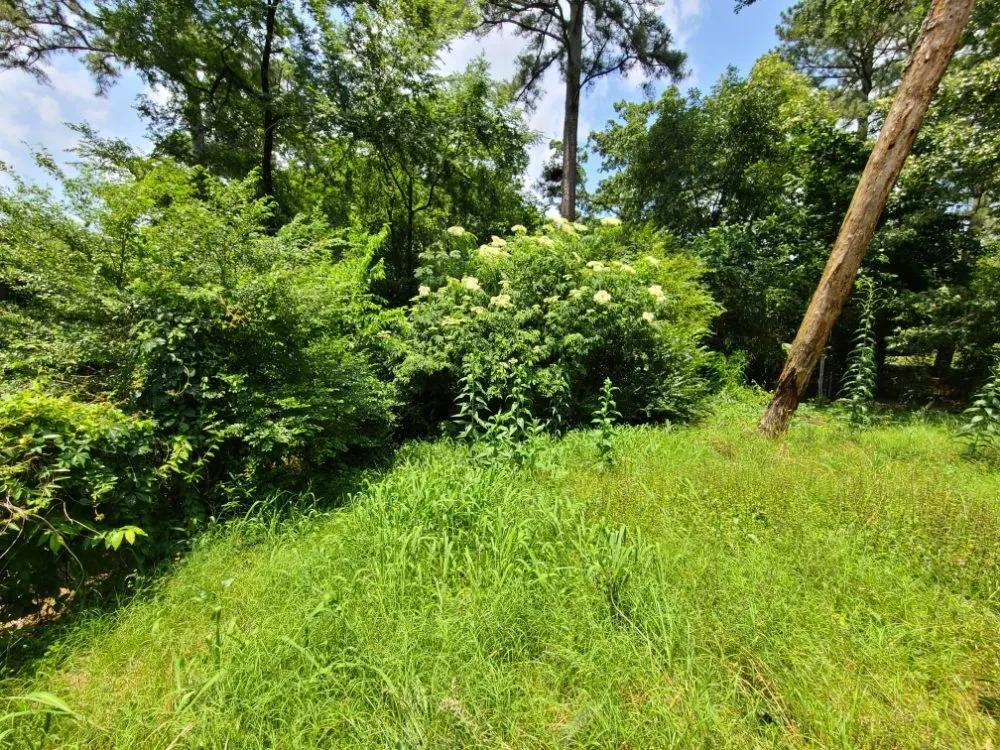 Custom lawn care service in Hot Springs, AR - Hands On Lawn Care Service