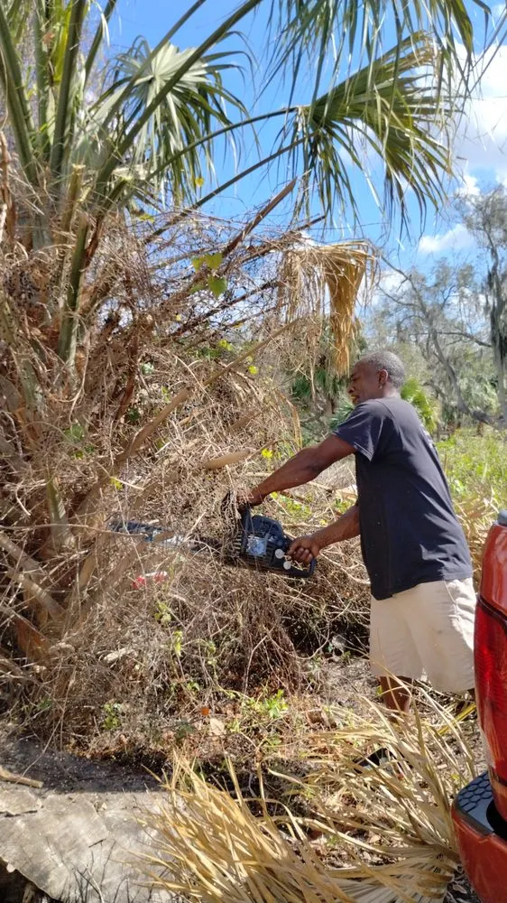 Affordable outdoor landscaping for beautiful yards across Gibsonton, FL - Hands On Mobile Wash