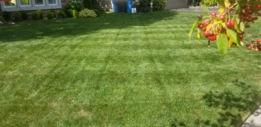 Professional outdoor landscaping experts serving Toledo, OH - Hand's on Property Care