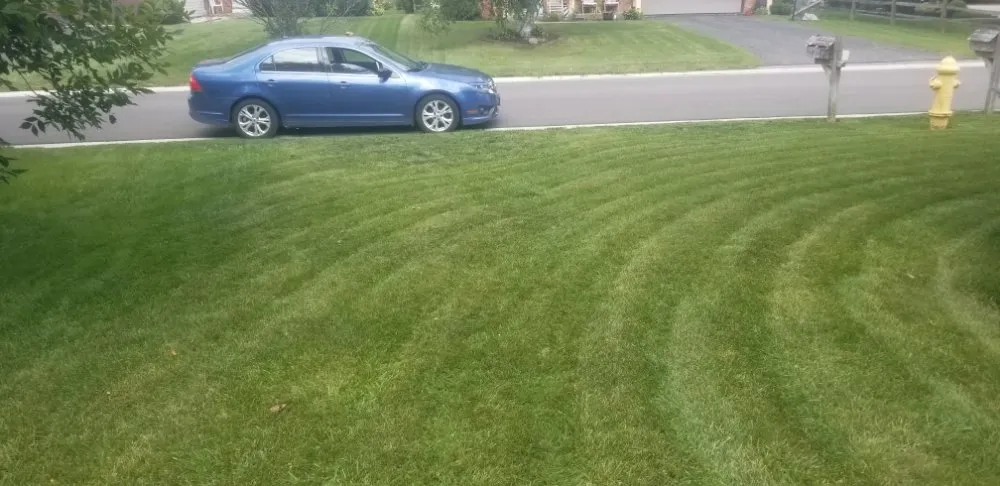 Custom yard maintenance experts serving Toledo, OH - Hand's on Property Care