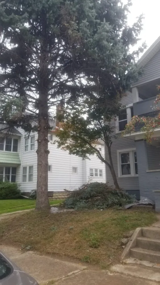 Expert lawn care service in Toledo, OH by Hand's on Property Care