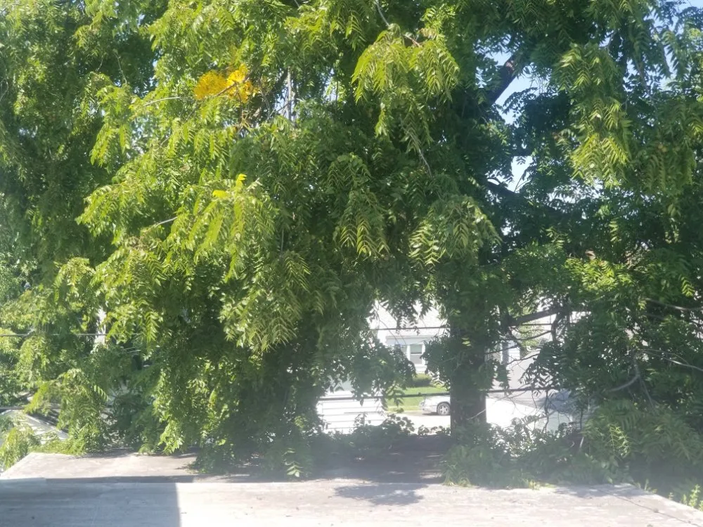 Top-rated outdoor landscaping for residential properties in Toledo, OH by Hand's on Property Care