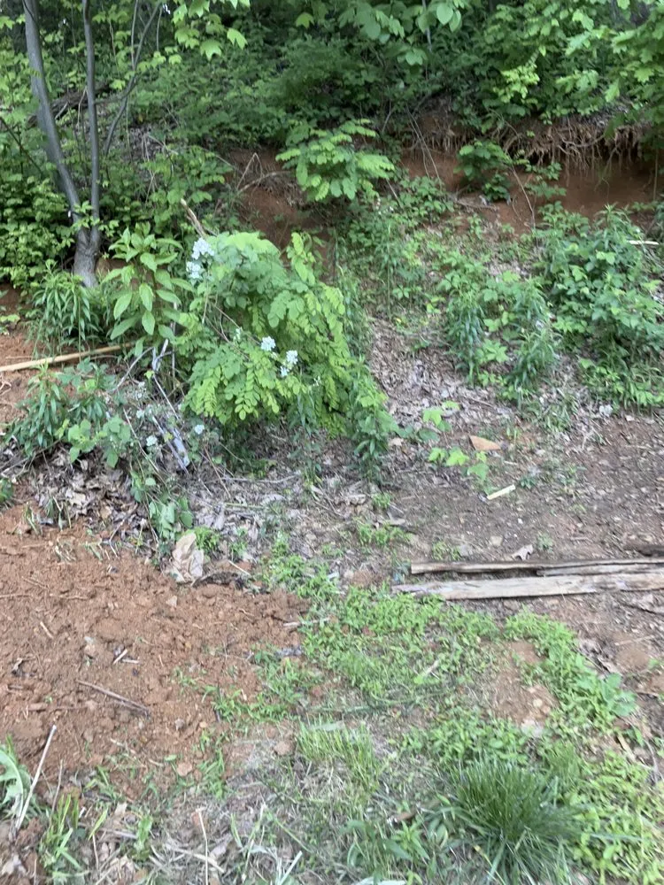 Expert outdoor landscaping experts serving West Jefferson, NC - Hands Rental Services