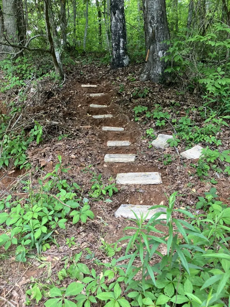 Affordable landscaping services in West Jefferson, NC - Hands Rental Services