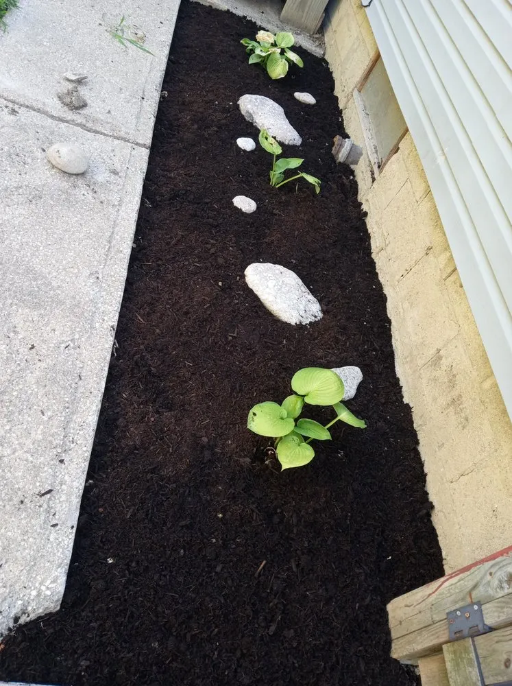 Local lawn care service for beautiful yards across Lorain, OH - Handsdown Landscaping