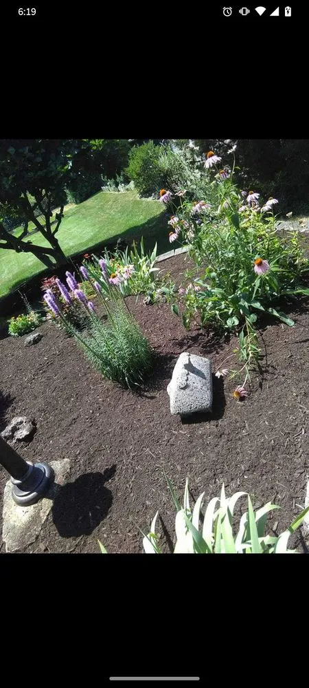 Reliable lawn care service in Lorain, OH by Handsdown Landscaping