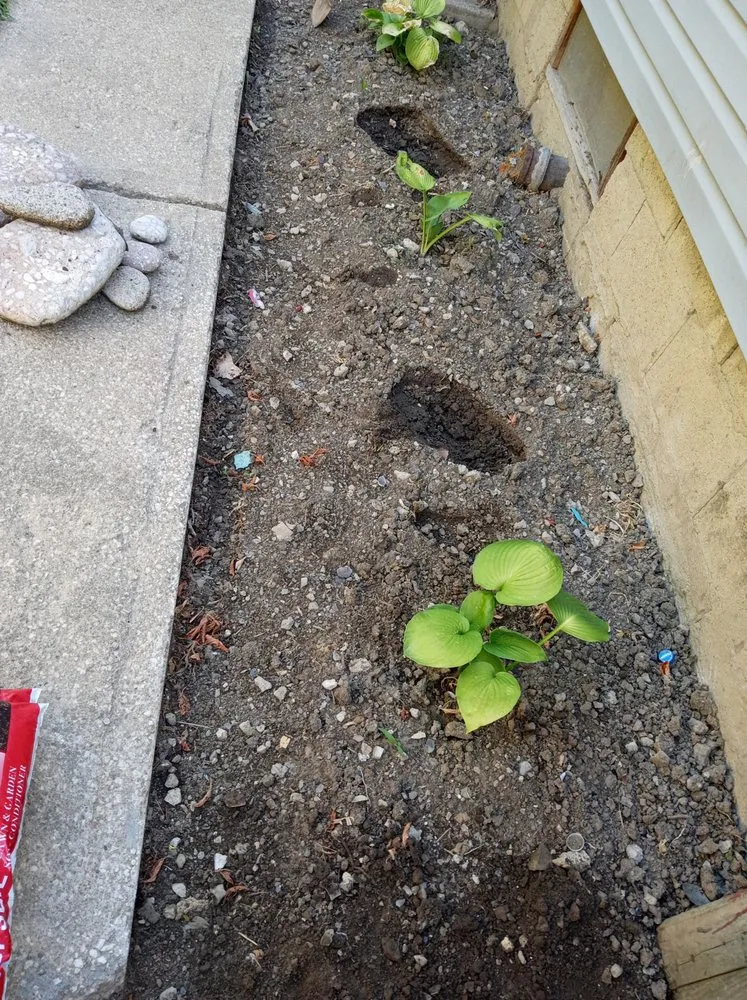 Expert lawn care service in Lorain, OH - Handsdown Landscaping