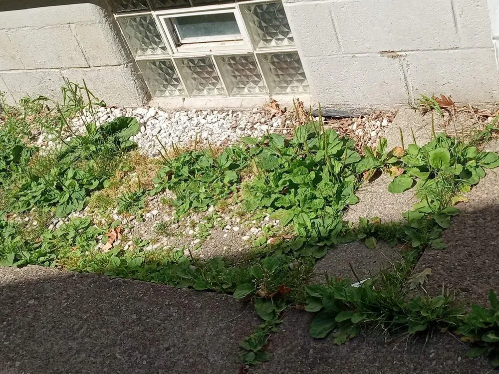 Local outdoor landscaping in Lorain, OH by Handsdown Landscaping