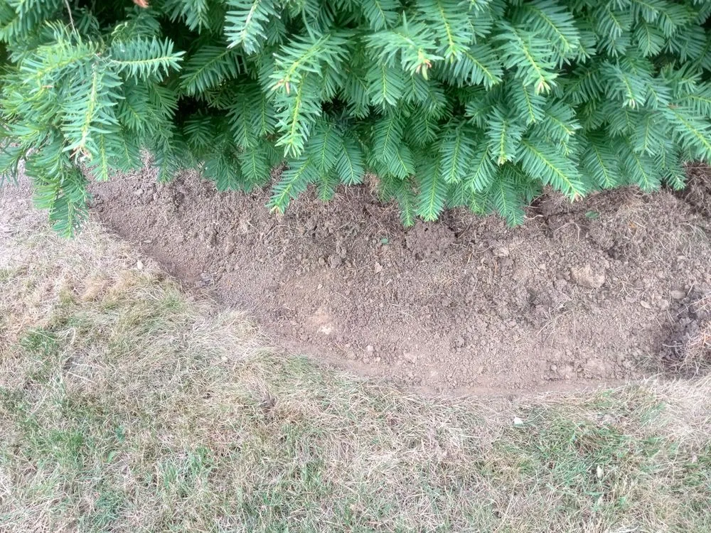 Trusted garden landscaping for year-round maintenance across Lorain, OH - Handsdown Landscaping