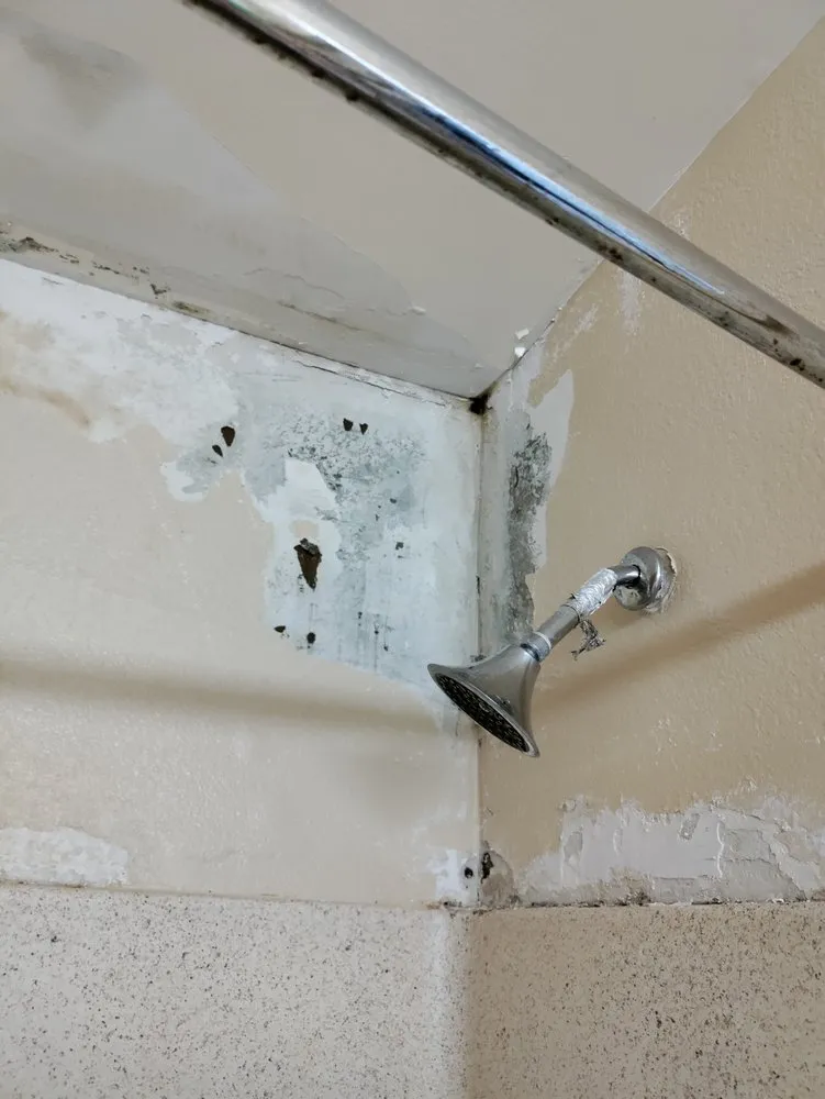 Professional outdoor landscaping experts serving Waco, TX - Handy & Dandy Services