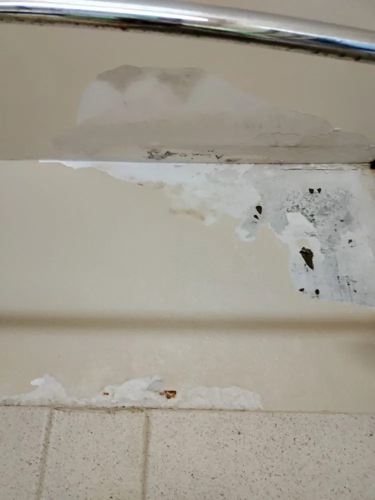 Affordable outdoor landscaping experts serving Waco, TX - Handy & Dandy Services