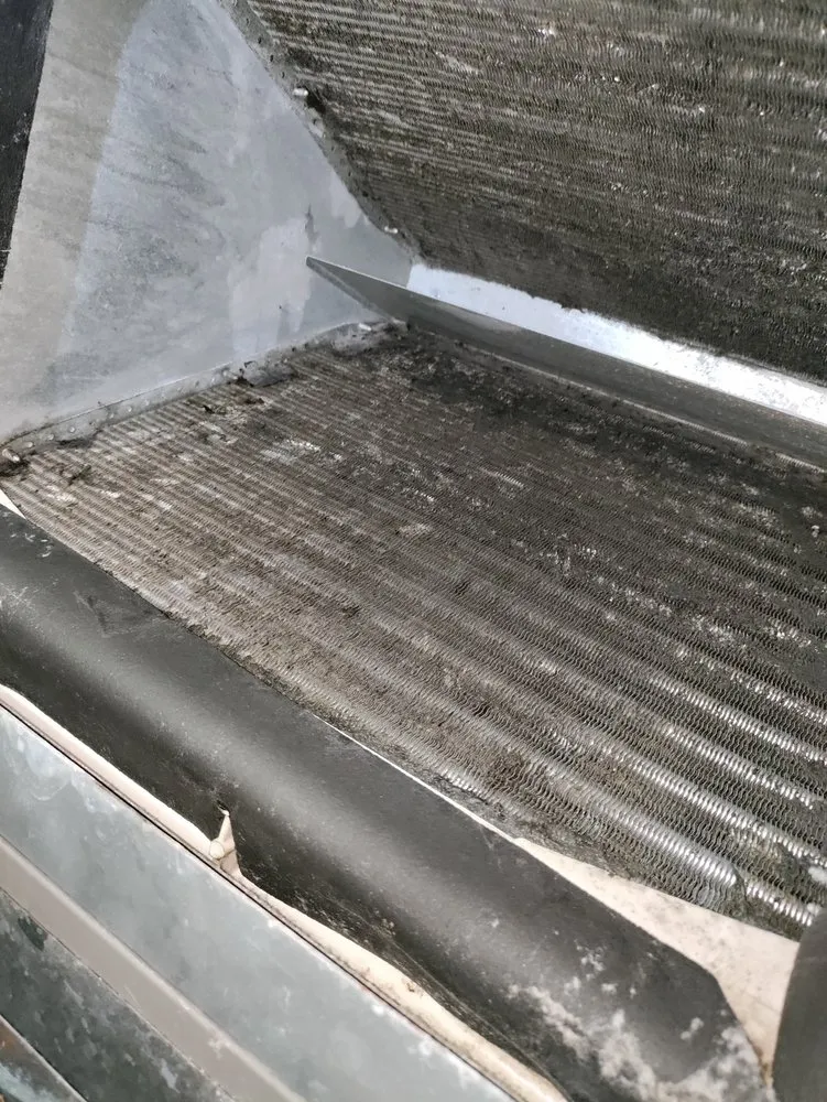 Custom lawn care service in Waco, TX by Handy & Dandy Services