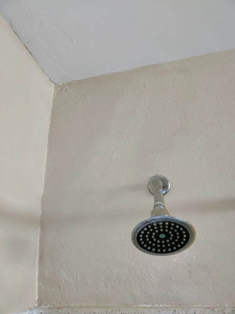 Reliable yard cleanup service for homes in Waco, TX by Handy & Dandy Services