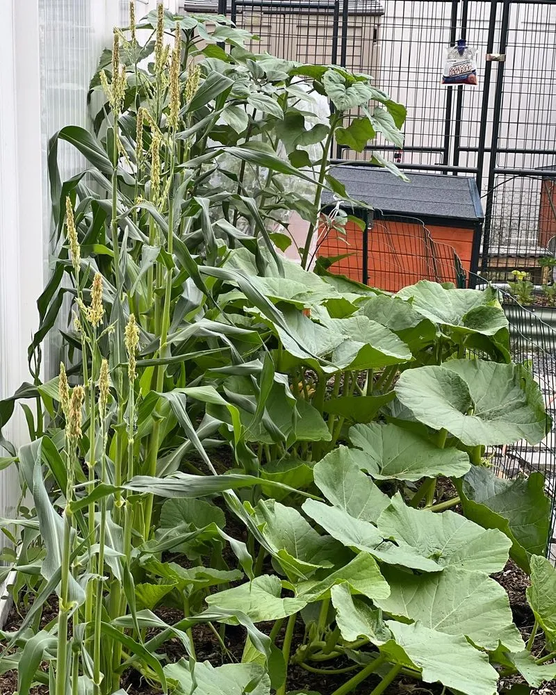 Reliable garden landscaping in Salisbury Mills, NY - Handy AF