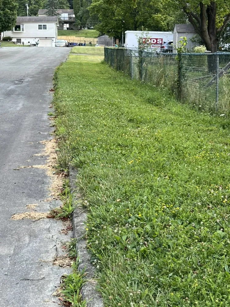 Reliable yard cleanup service in Salisbury Mills, NY by Handy AF