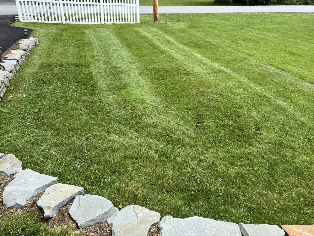 Top-rated lawn care service experts serving Salisbury Mills, NY - Handy AF