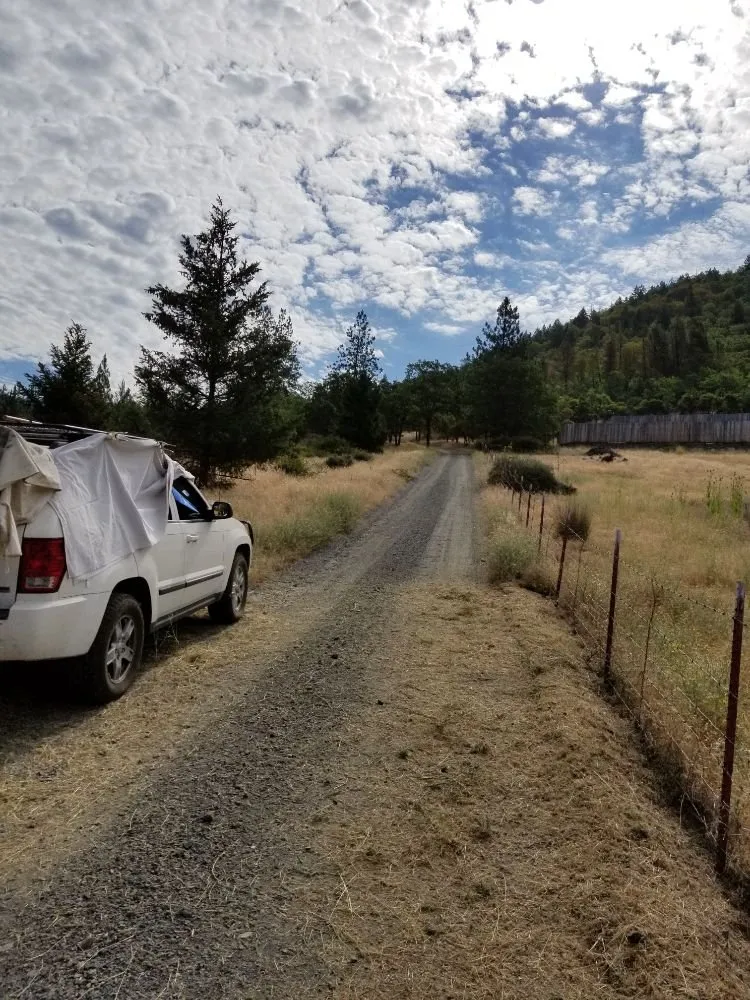 Expert yard cleanup service in Central Point, OR - Handy Andy's Home Services