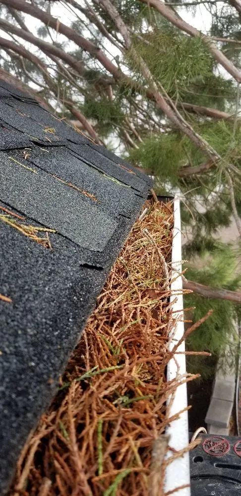 Affordable garden landscaping experts serving Central Point, OR - Handy Andy's Home Services