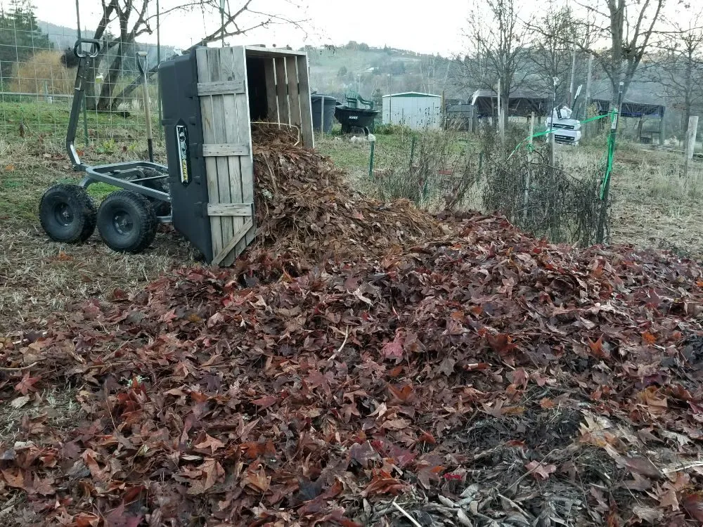 Reliable residential landscaping near you in Central Point, OR by Handy Andy's Home Services
