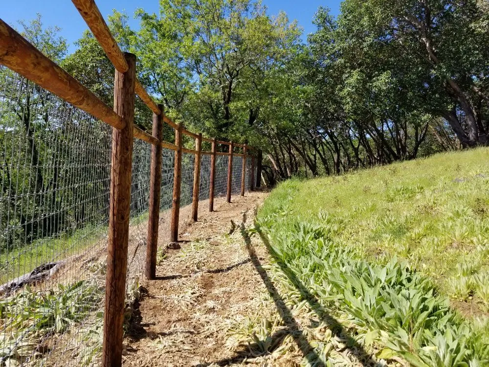 Affordable yard cleanup service for homes across Central Point, OR - Handy Andy's Home Services