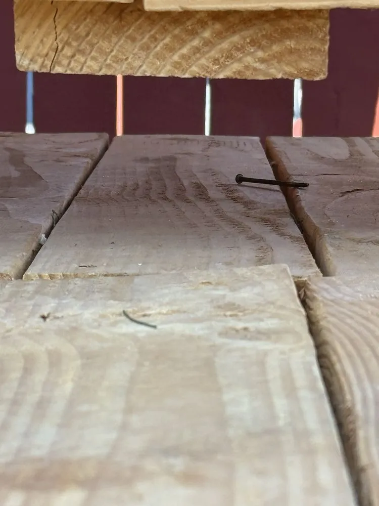 Professional yard cleanup service in Lathrop, CA by Handy Andy's