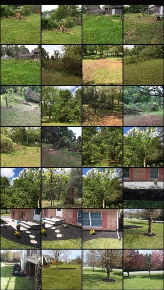 Custom lawn mowing service in Rising Sun, MD by Handy Andys