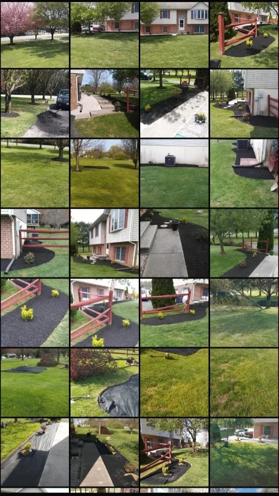 Expert landscaping services experts serving Rising Sun, MD - Handy Andys