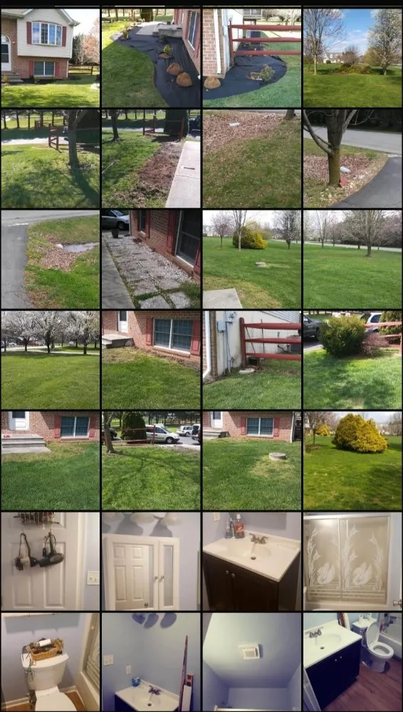 Local landscaping services experts serving Rising Sun, MD - Handy Andys