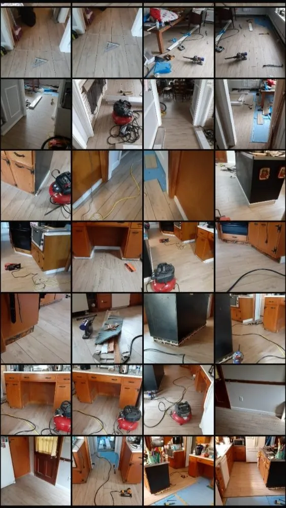 Trusted yard cleanup service experts serving Rising Sun, MD - Handy Andys