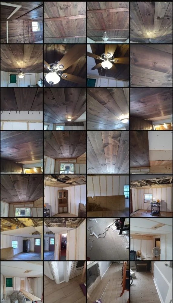 Professional yard maintenance experts serving Rising Sun, MD - Handy Andys