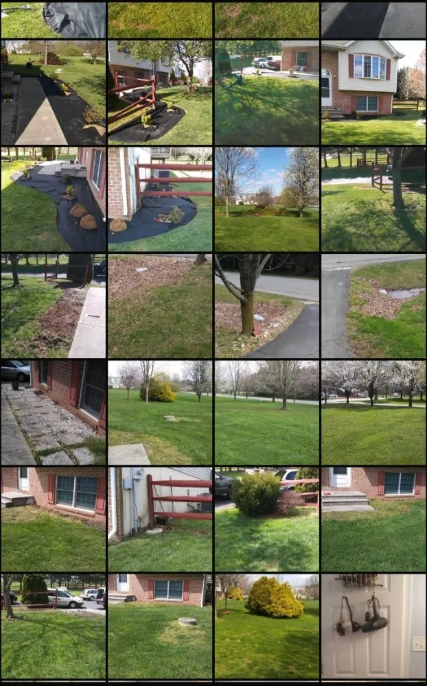 Custom lawn mowing service near you across Rising Sun, MD - Handy Andys