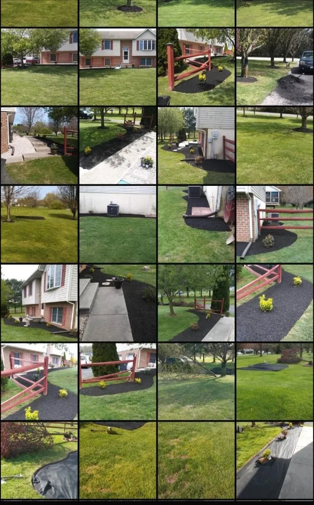 Professional yard cleanup service experts serving Rising Sun, MD - Handy Andys