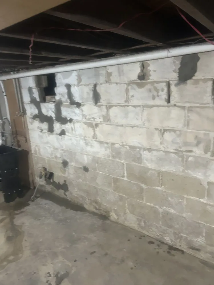 Trusted outdoor landscaping experts serving Catlettsburg, KY - Handy as Hale