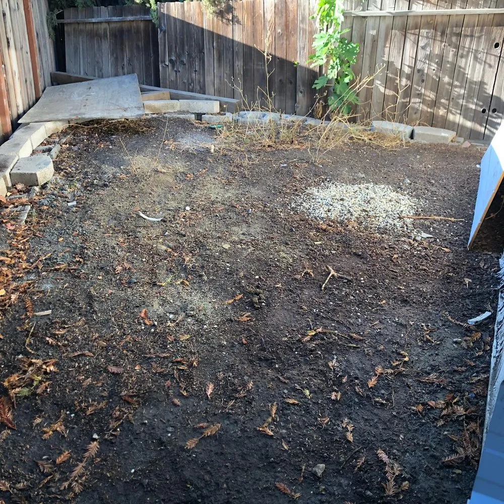 Professional residential landscaping experts serving Martinez, CA - Handy Chris