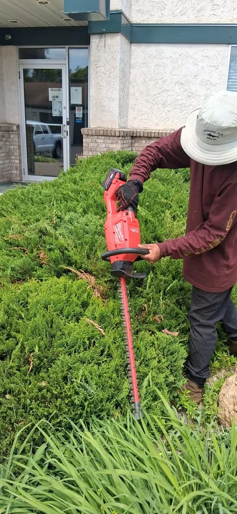 Expert landscape installation in Blaine, MN by Handy Dad's Landscaping