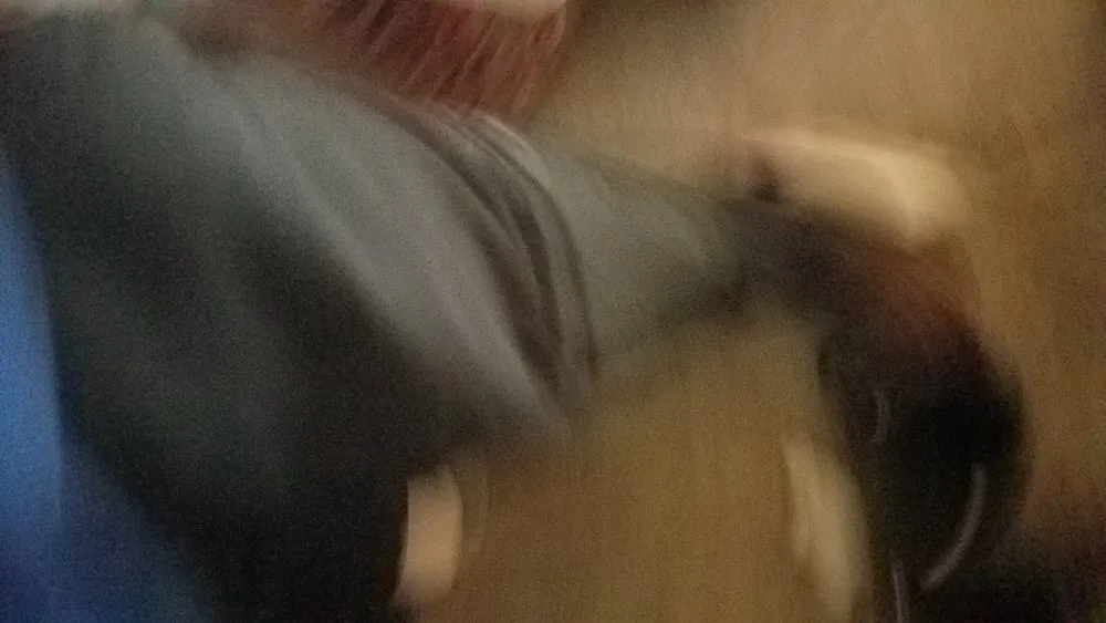 Top-rated landscape design in Clinton Township, MI - Handy Dan