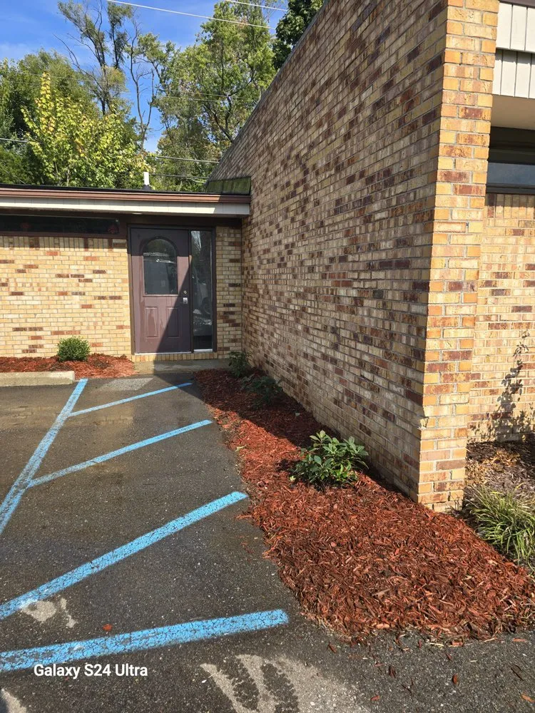 Affordable yard cleanup service for residential properties across Warren, MI - Handy Danny