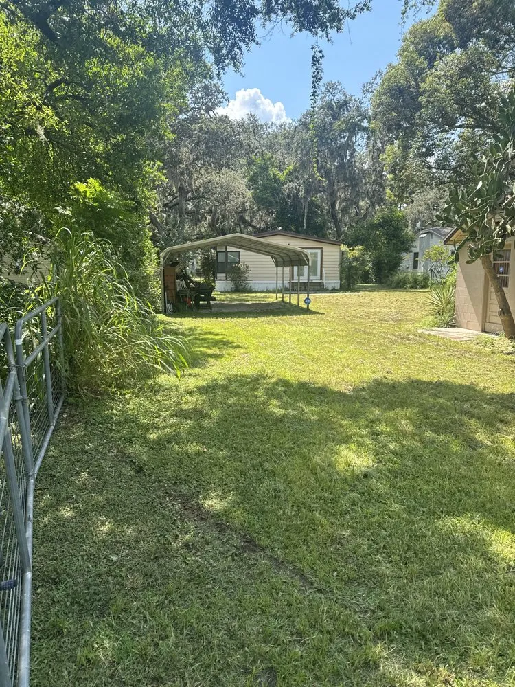 Top-rated yard maintenance experts serving Zephyrhills, FL - Handy Danny