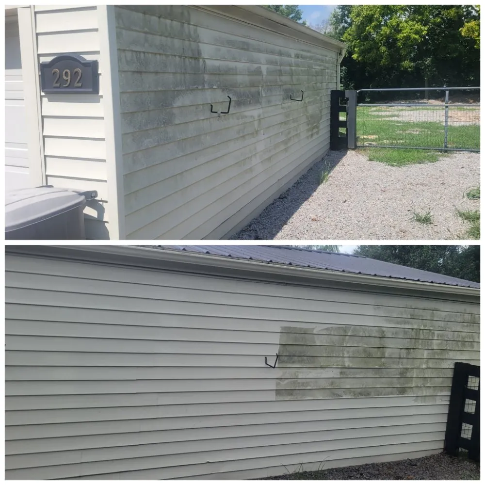 Professional yard cleanup service for year-round maintenance in Versailles, KY by Handy Dudes