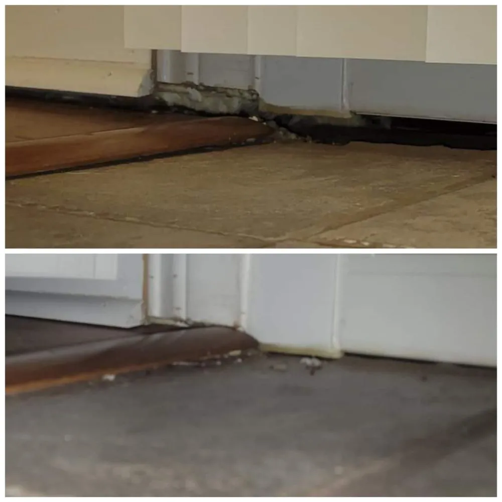 Expert yard maintenance for outdoor upgrades in Versailles, KY by Handy Dudes