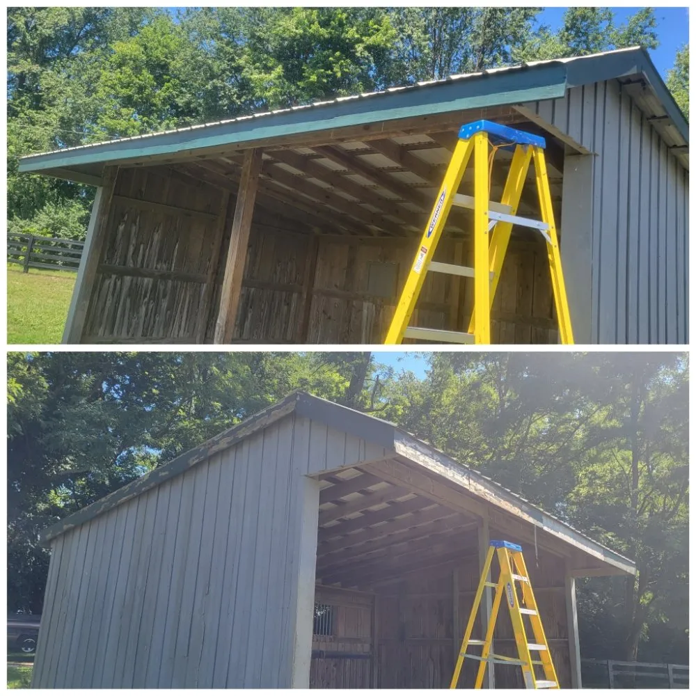 Affordable yard maintenance in Versailles, KY - Handy Dudes