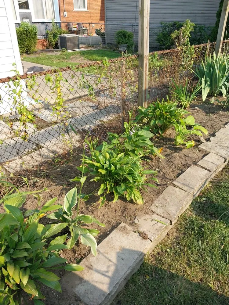 Professional lawn mowing service experts serving Detroit, MI - Handy Family