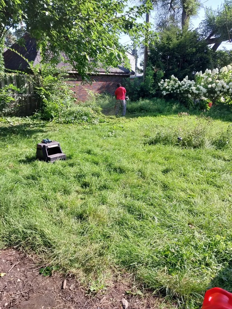 Expert yard maintenance in Detroit, MI - Handy Family