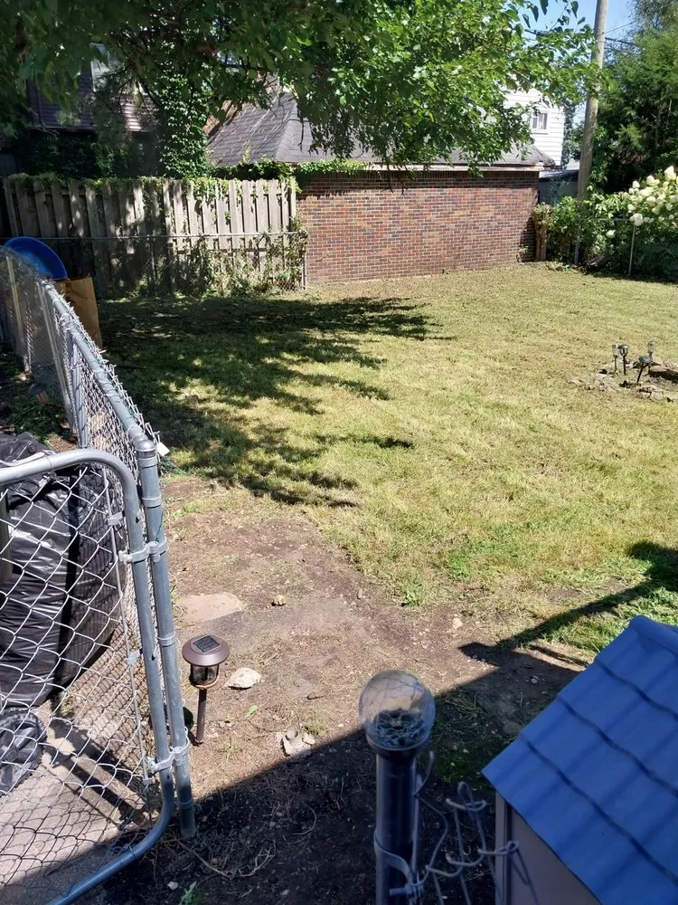 Expert yard maintenance near you in Detroit, MI by Handy Family