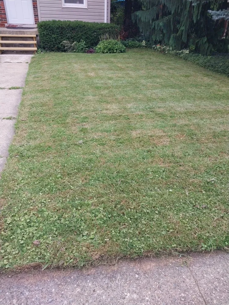 Reliable lawn mowing service for year-round maintenance in Detroit, MI by Handy Family