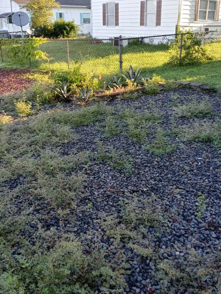 Local outdoor landscaping in Brooksville, FL - Handy Girl Services